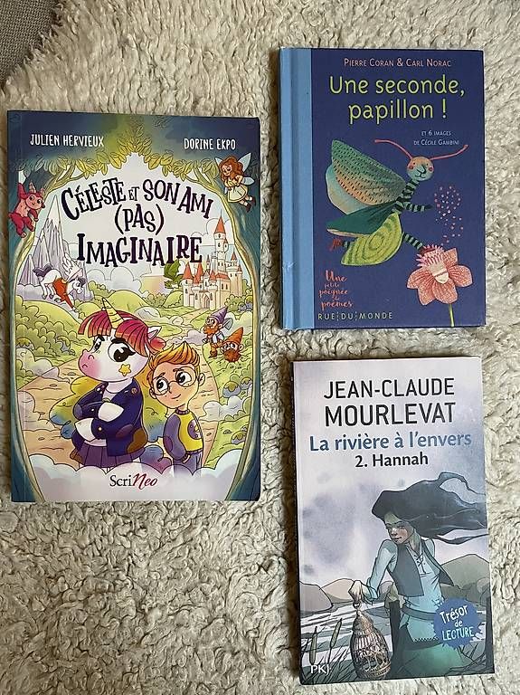 Libri: Divers livres 3.-/pièce – Usato da Genève venduto da dia_tj6j 1