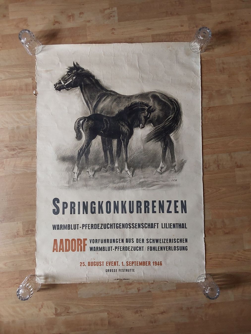 Grafica & Litografie: Hugentobler Iwan 69x100cm. Plakat  – Usato da Steinach venduto da Chilli1957 3