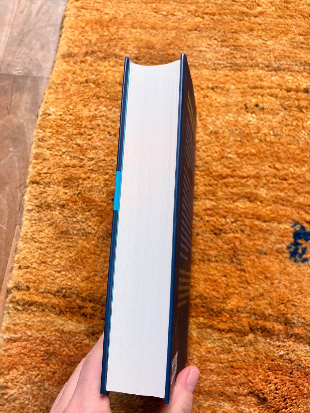 Libri: Entwicklungstrauma heilen - Laurence Heller / Aline Lapierre – Usato da Zürich venduto da amarelapreto 2