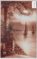 Lac Leman - Bonne Fete - Barque