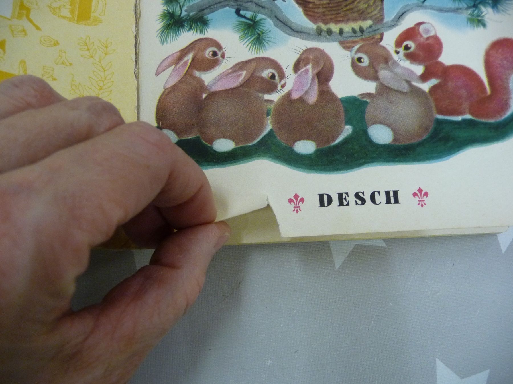 Libri: Buch: Das übermütige Kaninchen – Usato da Rafz venduto da Powacaddy 3