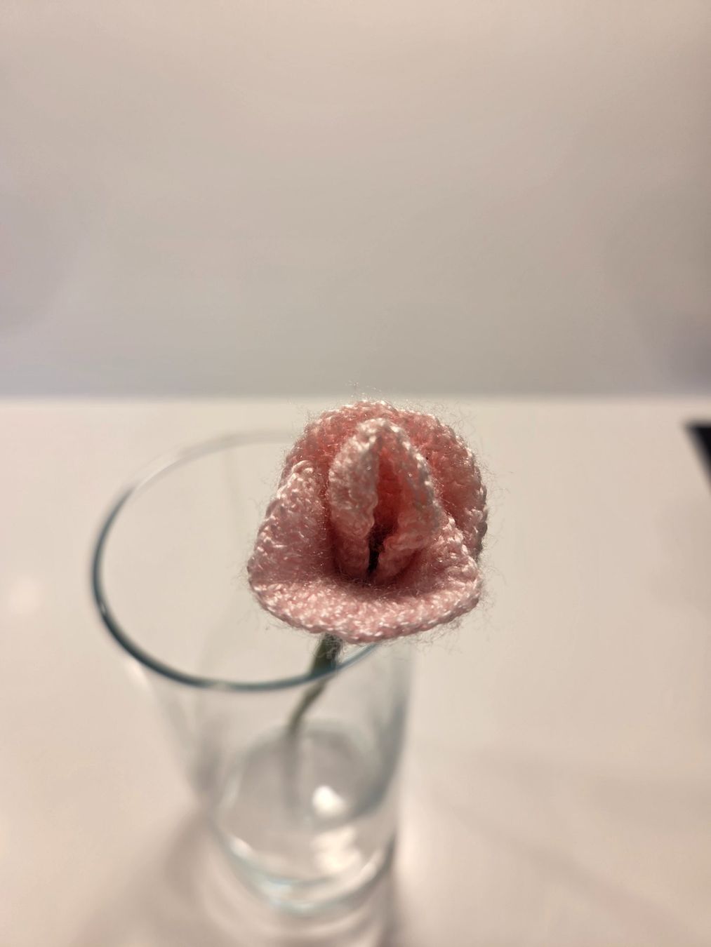 Alle Dekorationen: Handgemachte Blumen – Gebraucht aus Zürich von Lela-Mirela