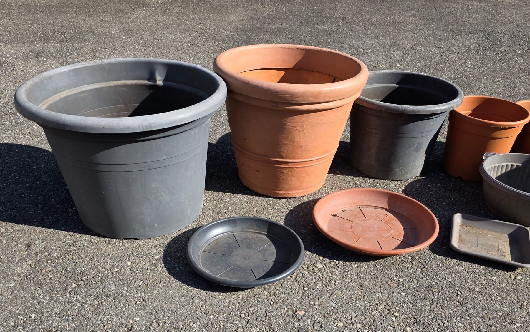Vasi per fiori: Blumentöpfe, Pflanzentöpfe in diversen Gröss – Usato da Rheinsulz venduto da Dred 2