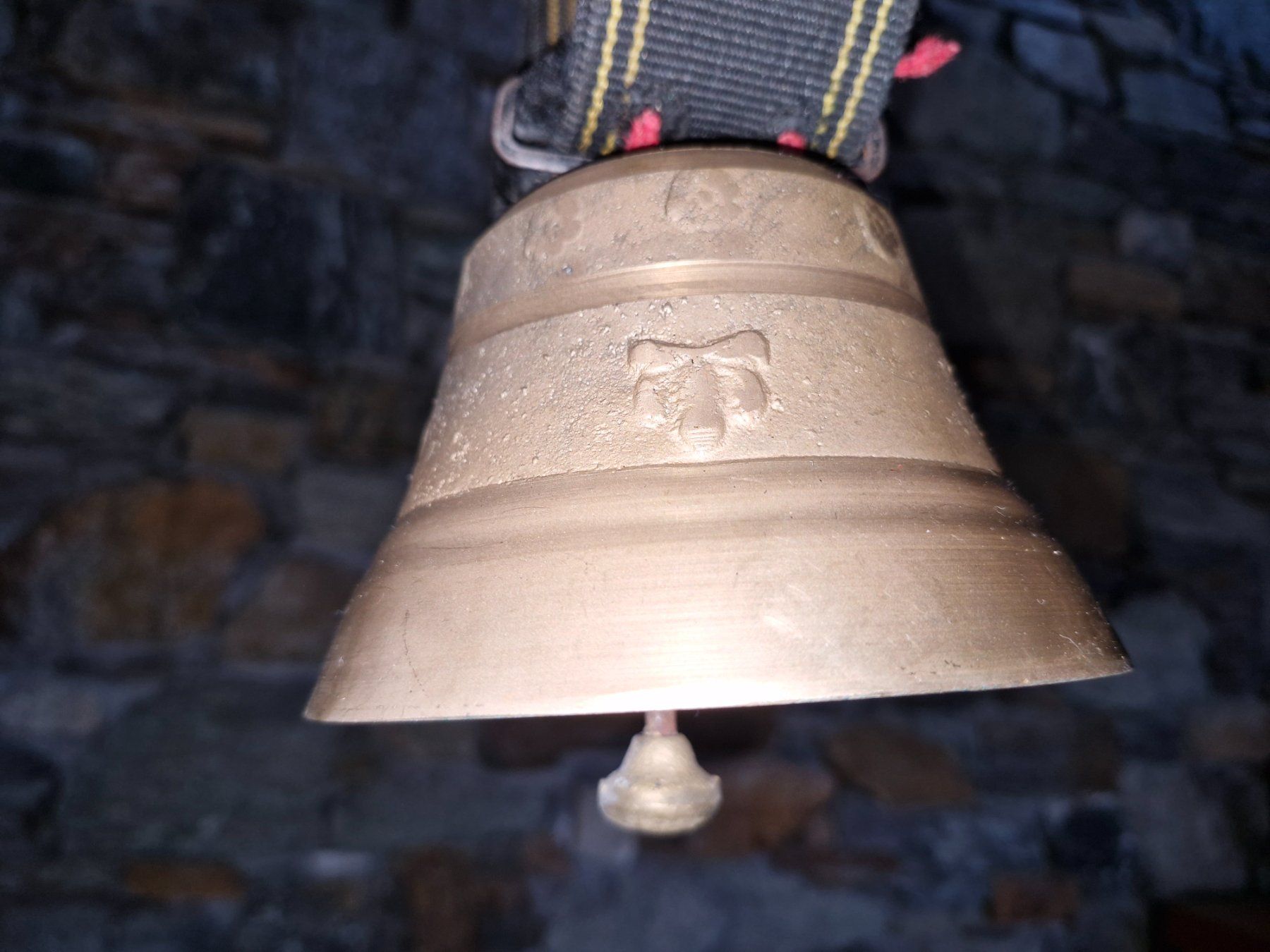 Campanacci mucche: Glocke Treichel – Usato da Guarda venduto da rue_bpd7 2