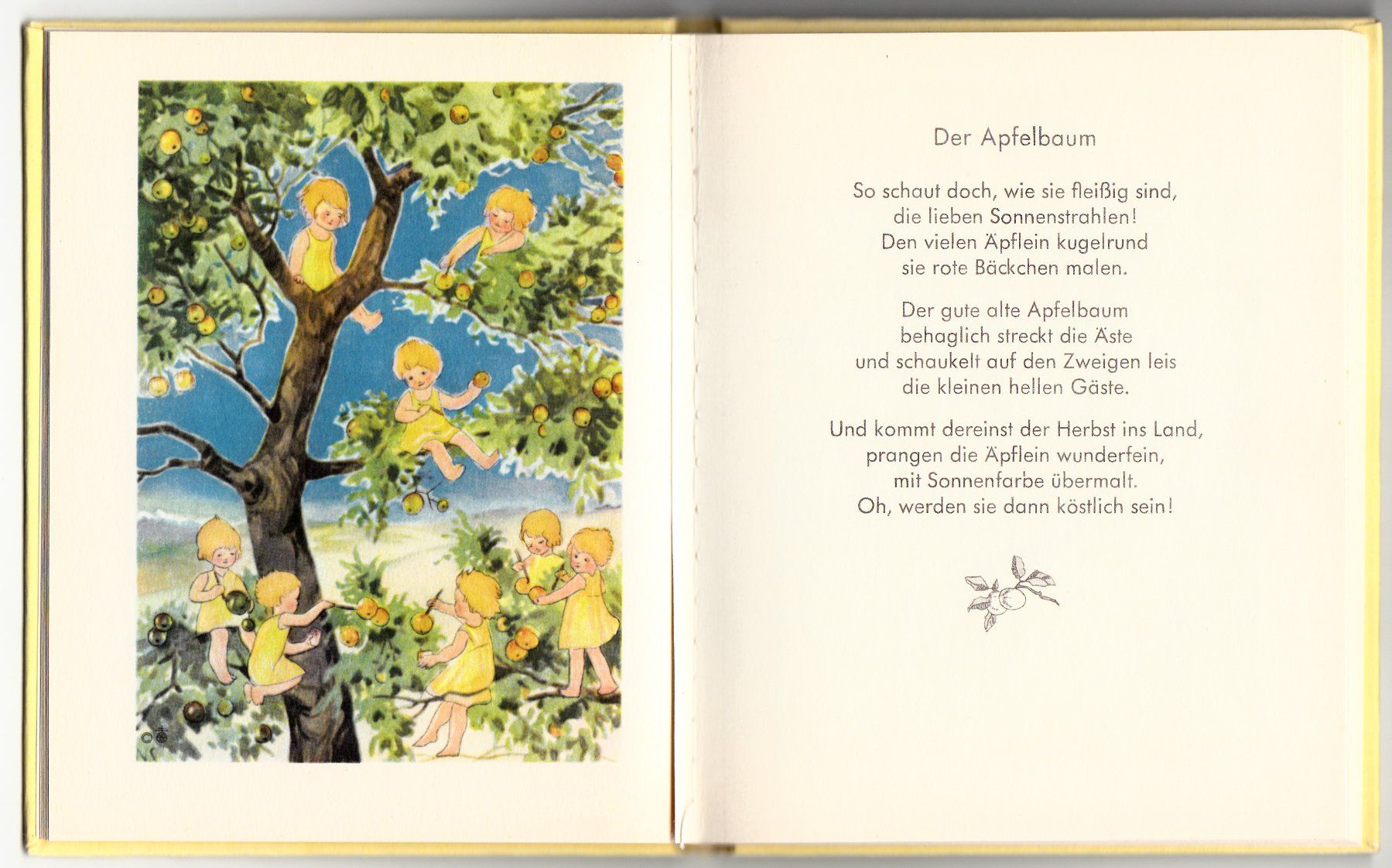 Libri: Nora Scholly - Sonnenstrahlen - 1940 – Usato da Zürich venduto da Adebar0 2