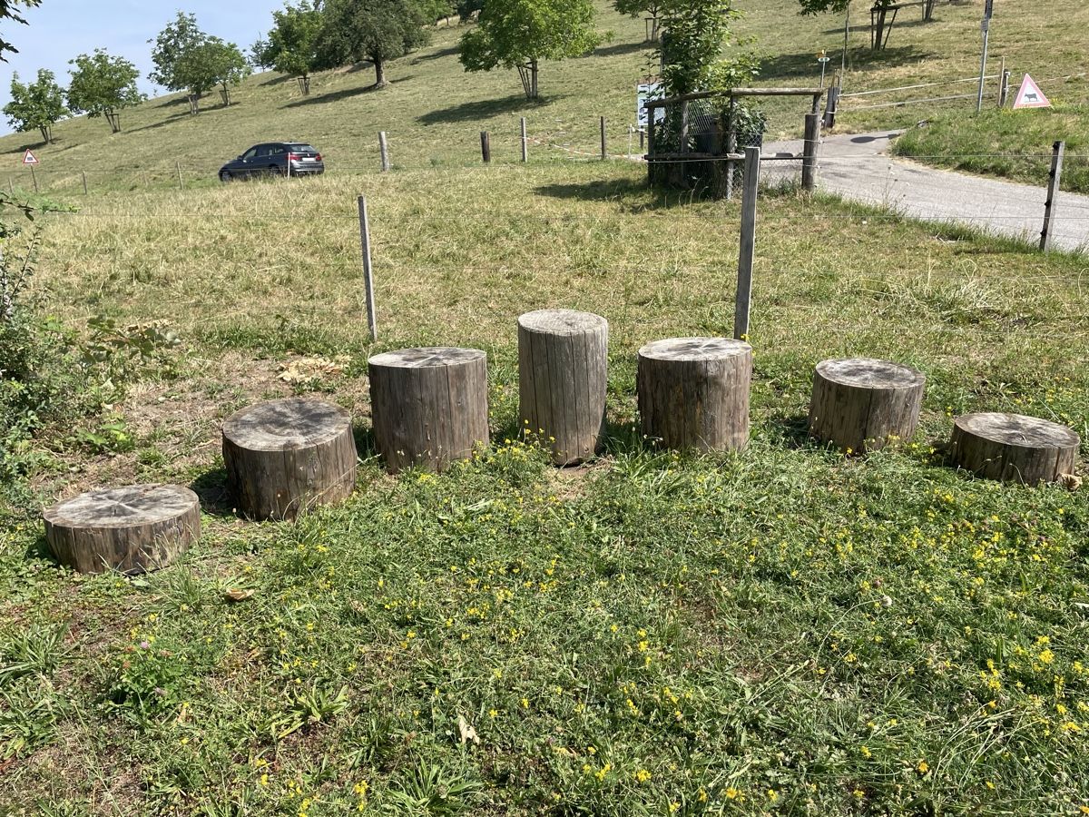 Articoli in legno: Baumstamm Hocker Set rustikal 7-teilig guter Zustand – Usato da Winterthur venduto da minusch777