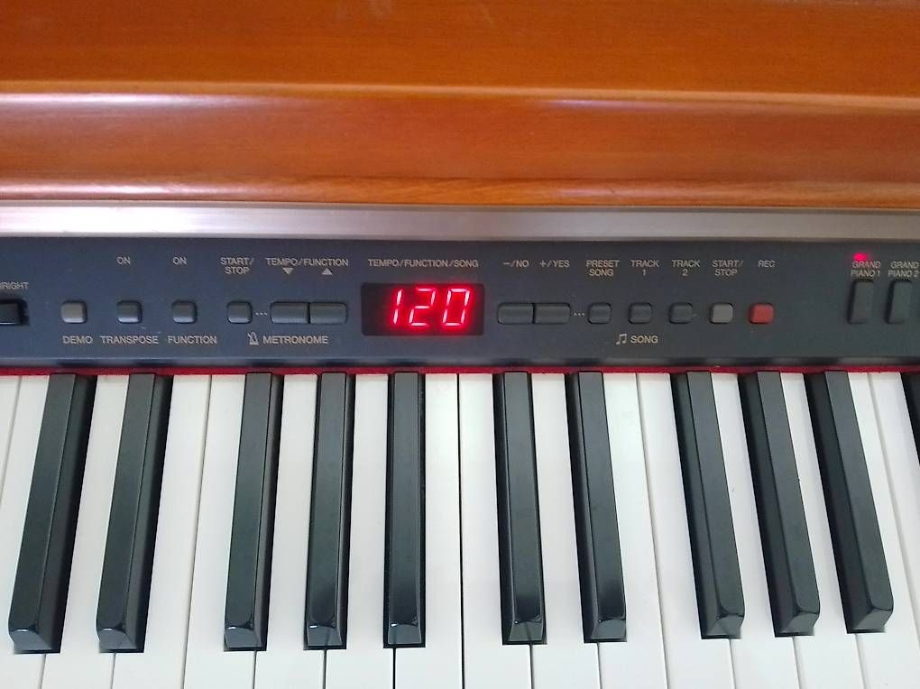 Strumenti musicali: Yamaha E-Piano – Usato da Zürich venduto da DonikaI 3