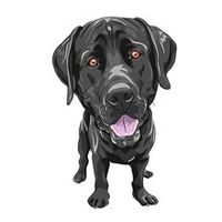 🐾🖤 Black Labrador Deko Aufkleber - Liebe auf vier Pfoten💫