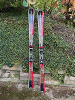 Ski d'occasion Dynastar Outland