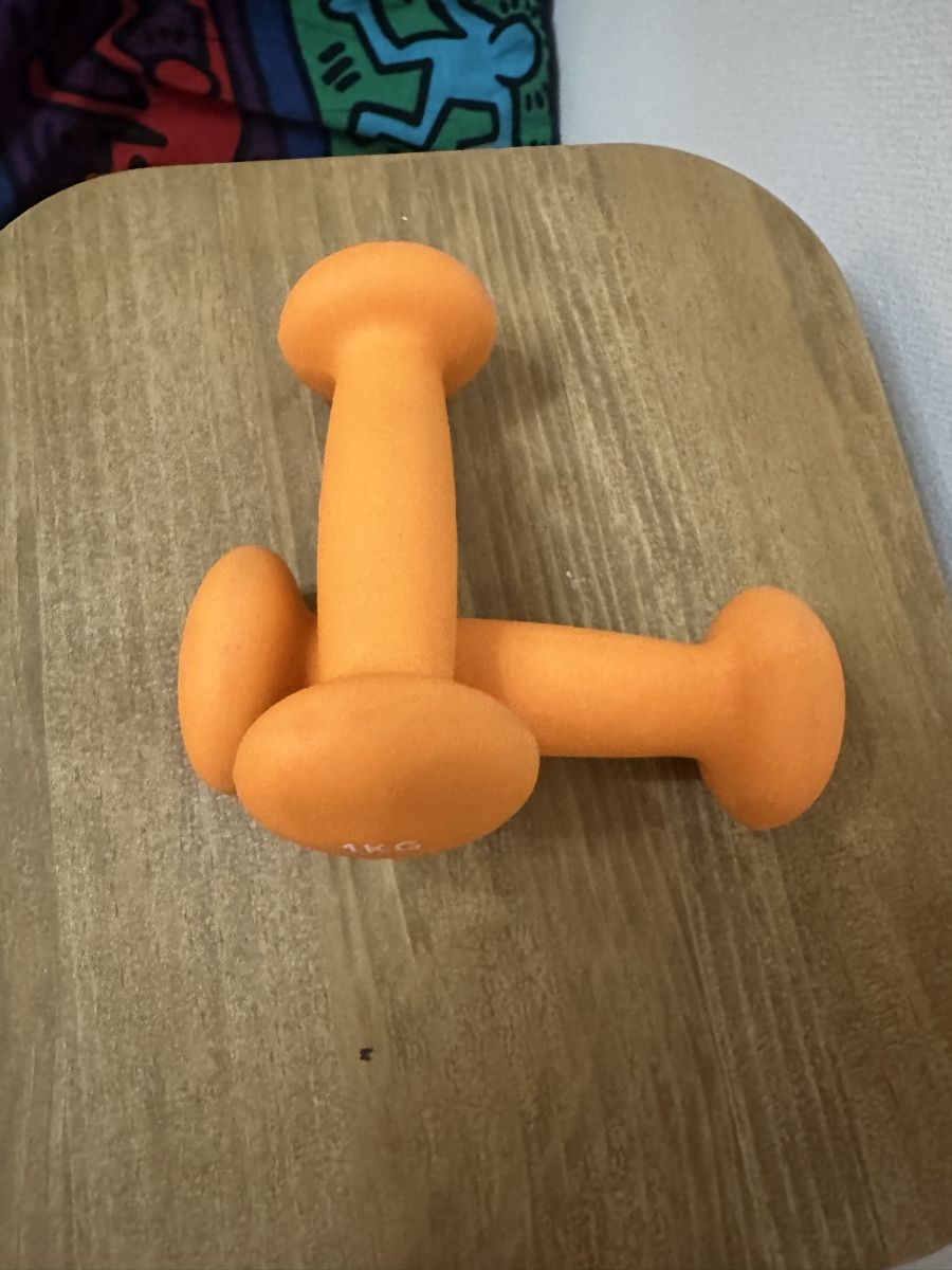 Hometrainer: Manubri da 1 kg  – Usato da Zürich venduto da MauEspo 1