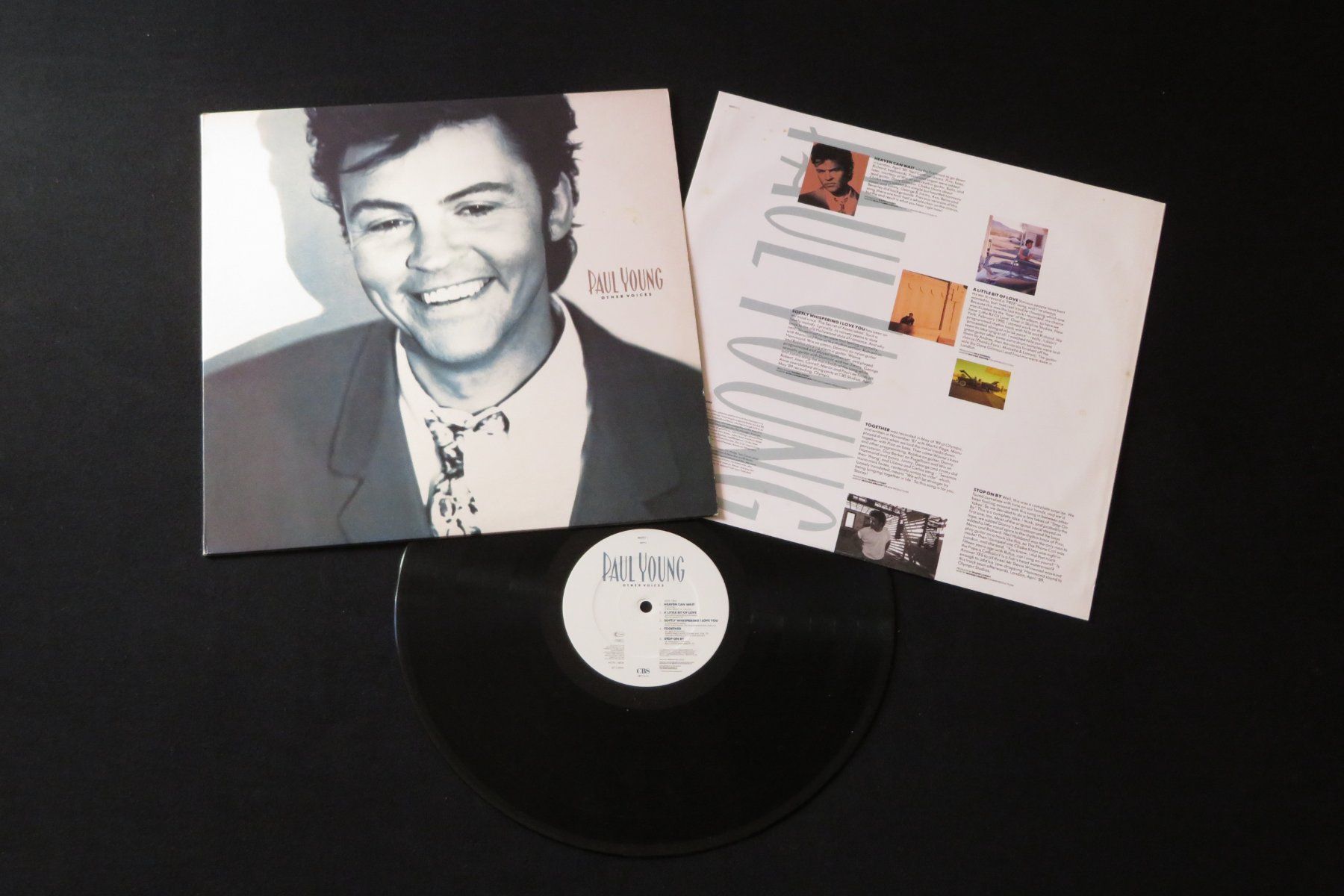 Dischi in vinile: PAUL YOUNG Other Voices LP – Usato da Rüti ZH venduto da cryptie66