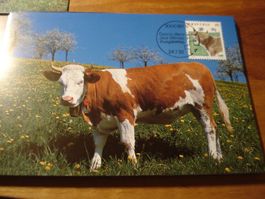 Satz Maximumkarten Dauermarke Tiere 1992, 11 Belege