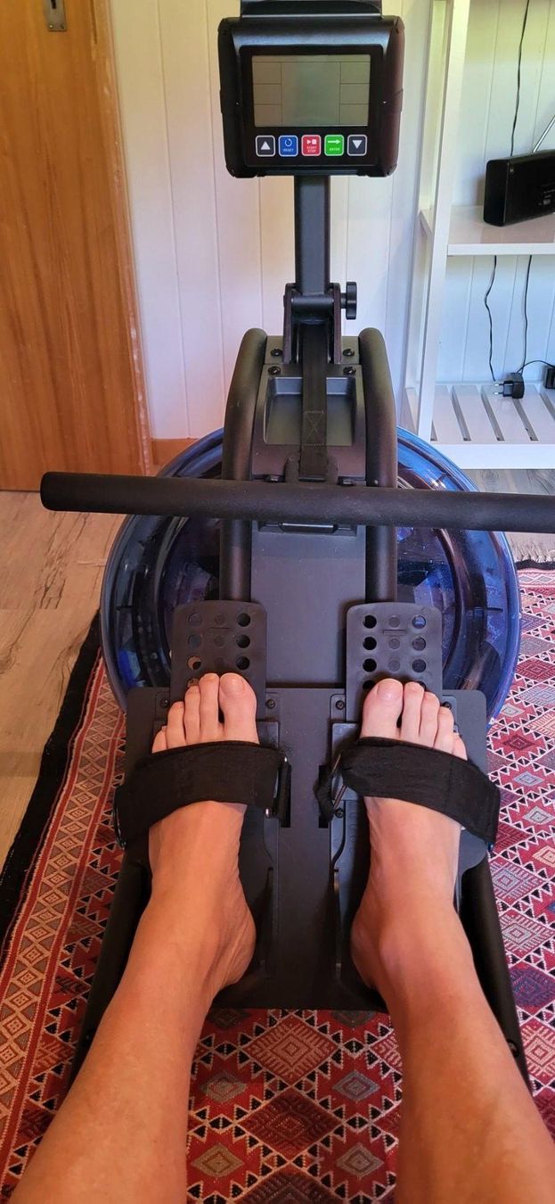 Hometrainer: Maxxus Ruder Maschine – Usato da Madiswil venduto da Cabarnet 4