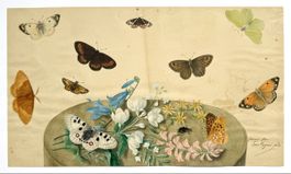Schmetterlinge und Blumen, Aquarell von Louis Cugnier père
