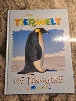 Kinderbuch "Die Pinguine" - Disney's Tierwelt
