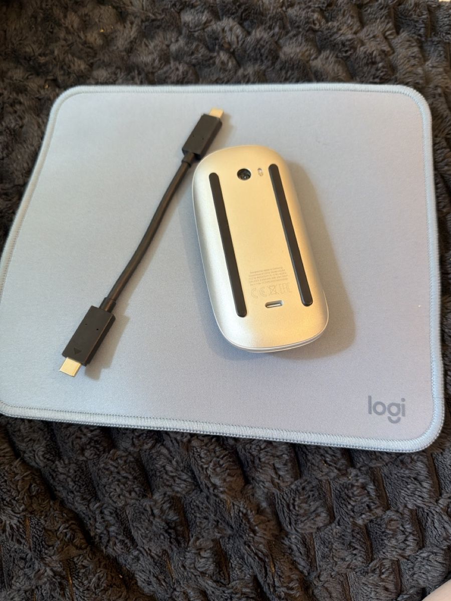 Apple Souris: Apple Magic Mouse 2 und Logi Mauspad USB-C Kabel – Neuf (Voir description) à Zürich par pat_9zks 1