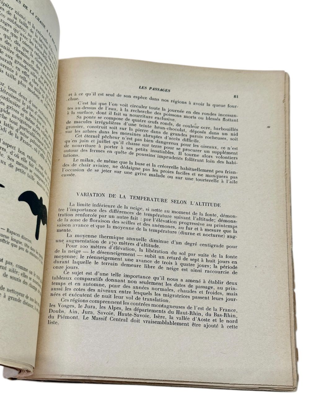 Libri: Subtilités de la chasse à la bécasse. Édition originale 1943 – Usato da Morges venduto da vintix 5
