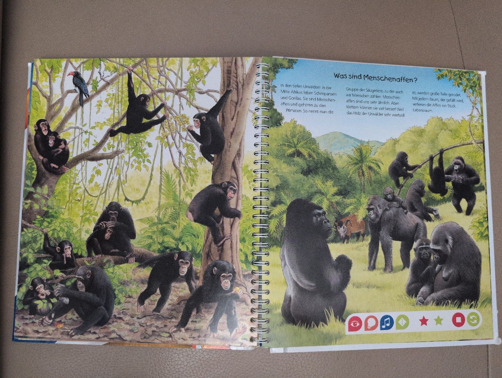 Libri: tiptoi Entdecke die Tiere Afrikas Buch – Usato da Schwerzenbach venduto da _charme_ 7