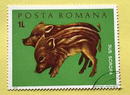 Briefmarken aus Rumänien gestempelt  Siehe Original Fotos. 
