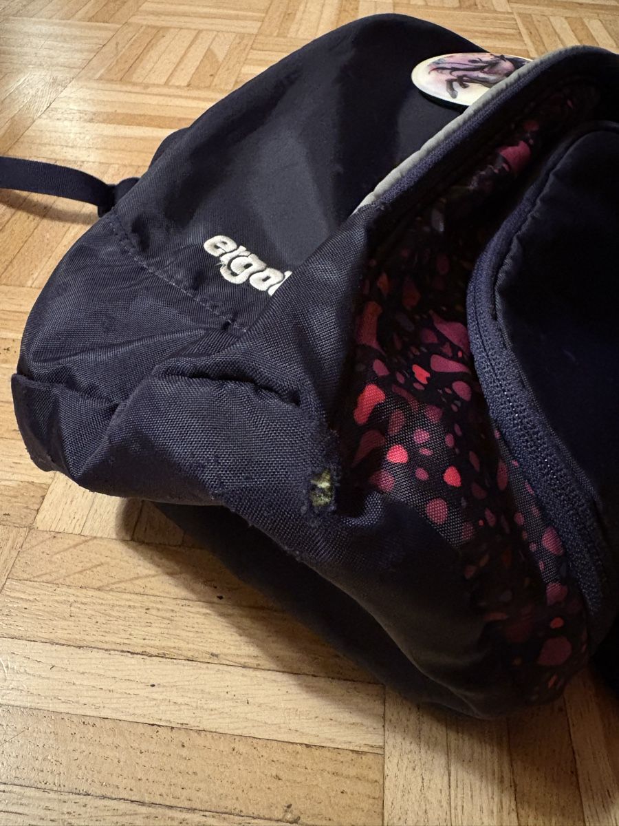 Ergobag Borse & Zaini: Ergobad Schulthek violett  – Usato da Adliswil venduto da JaHaZu 7