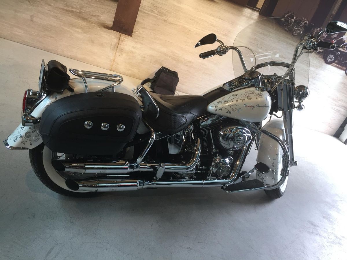 Harley-Davidson Chopper: Harley Davidson FLSTN 56kw – Usato da Oberweningen venduto da Bumblebee2 4