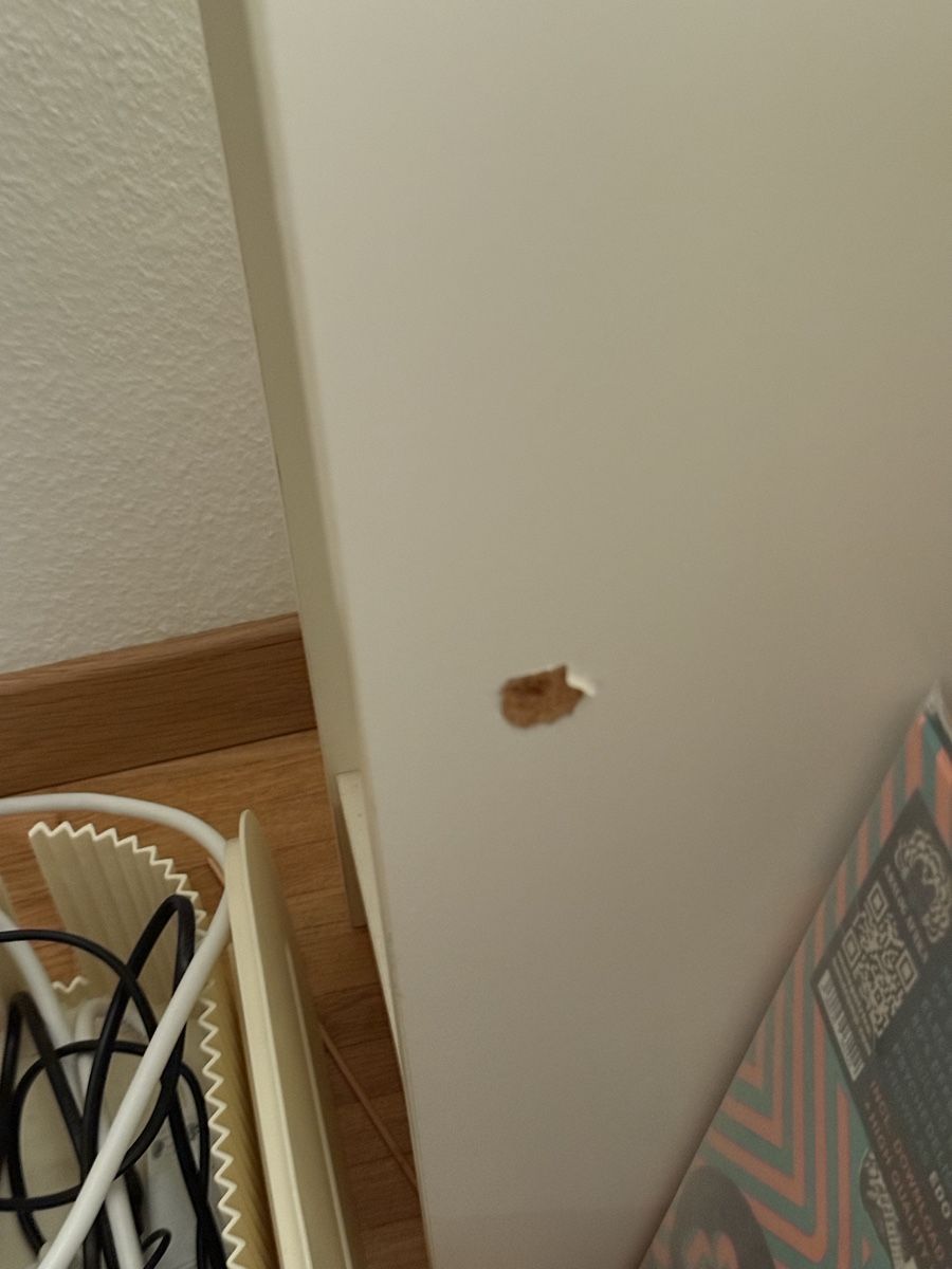 Scaffali: GNEDBY CD-REGAL IKEA – Usato da Zürich venduto da alyssum99 3