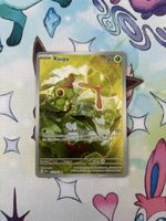 Raupy MEW 172/165