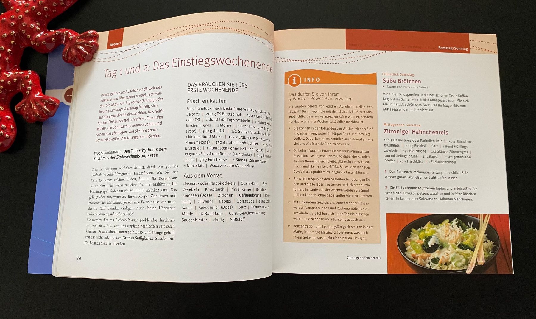 Libri: SCHLANK IM SCHLAF / GU RATGEBER – Usato da Nussbaumen AG venduto da schuba2000 3