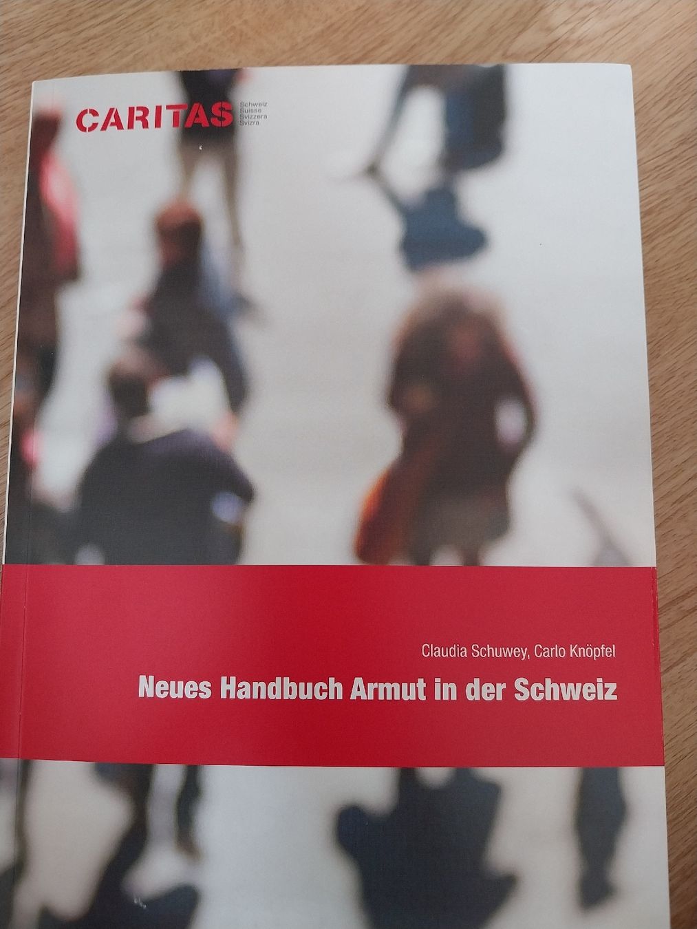 Libri: Neues Handbuch Armut in der Schweiz  – Usato da Rorschach venduto da Mitsch38