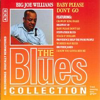 Big Joe Williams BABY PLEASE DON'T GO Chicago Delta Blues CD