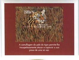 Block "Tiger". Mosambik.