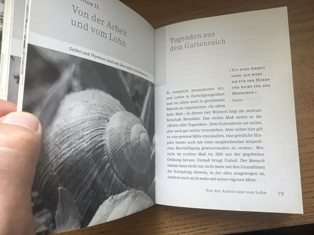 Libri: Die Gärten der Mönche: Bibliothek der Mönche – Nuovo (secondo la descrizione) da Schaffhausen venduto da Reporter 4