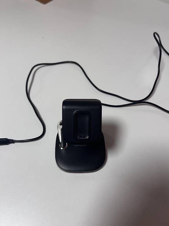 Accessori per Smartwatch: Ladestation Fitbit charge6 – Usato da Thörishaus venduto da wist 2