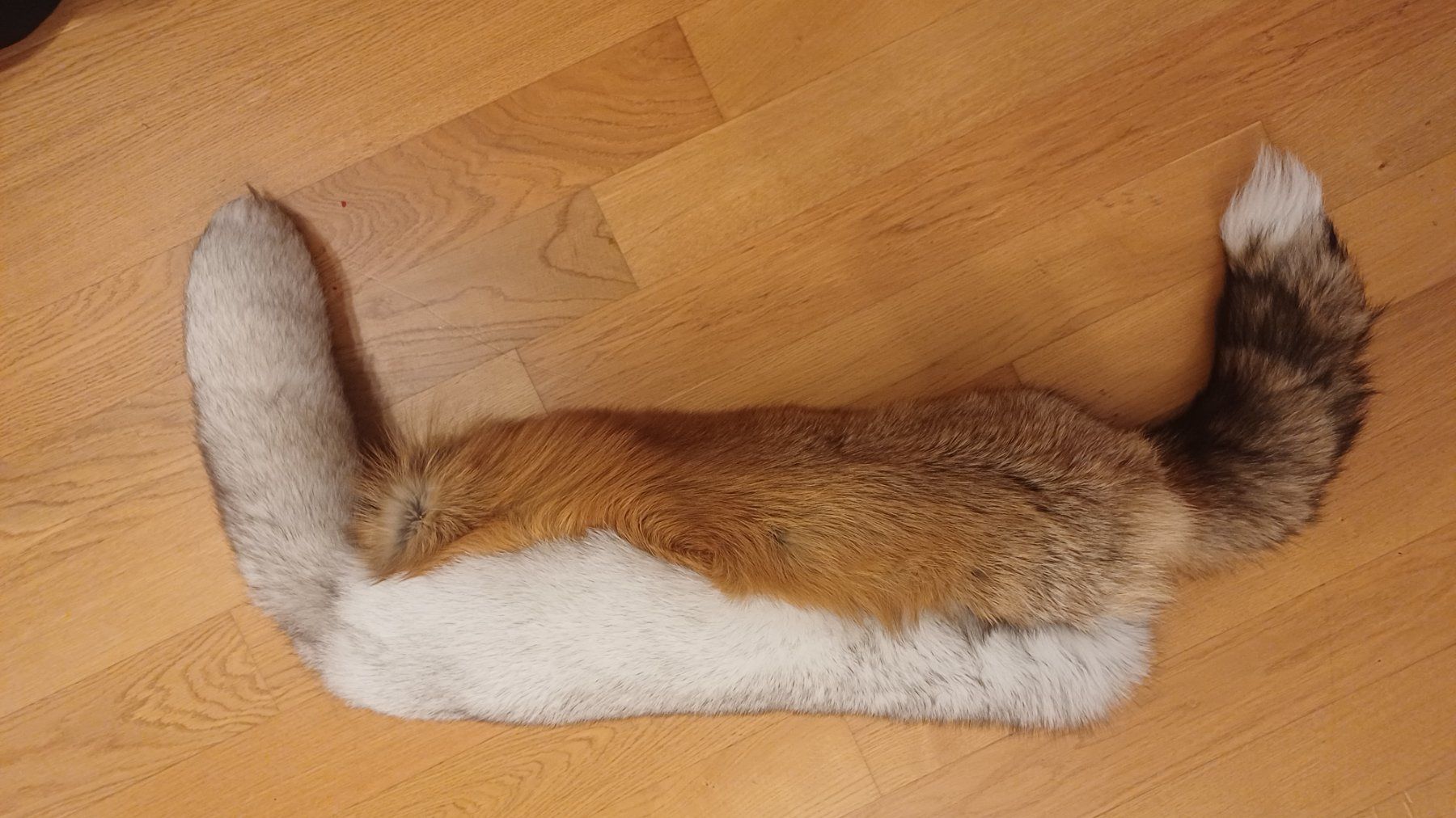 Welt der Tiere: Fuchsfell Kissenbezug Unikat!!! – Neu (gemäss Beschreibung) aus Neftenbach von QuiQuo 2