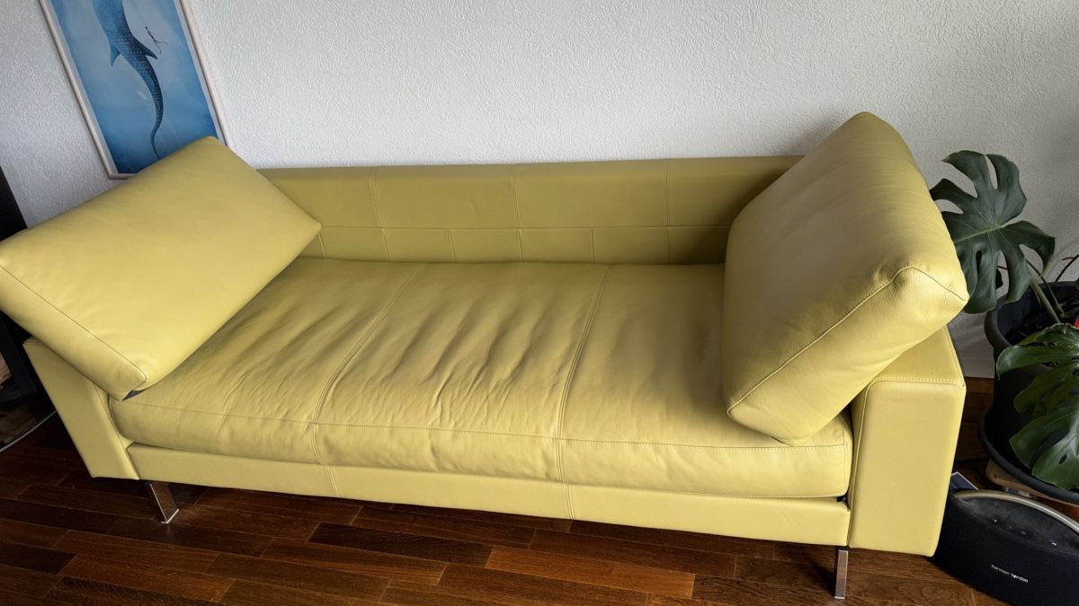 Divani: Sofa Rolf Benz – Usato da Boll venduto da pfar