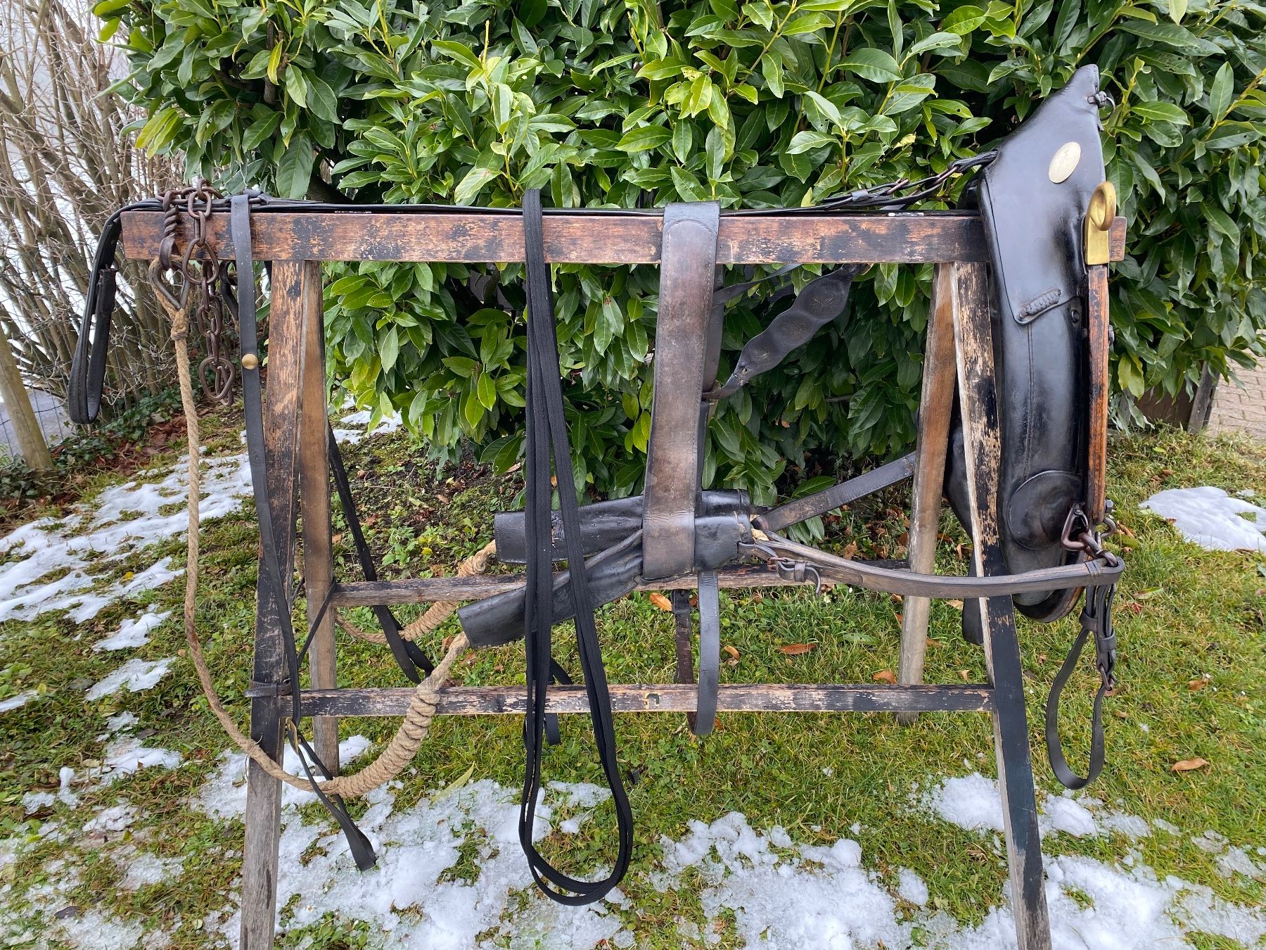 Campanacci mucche: schönes Spitzkummetgeschirr – Usato da Feldbach venduto da Fea1 5