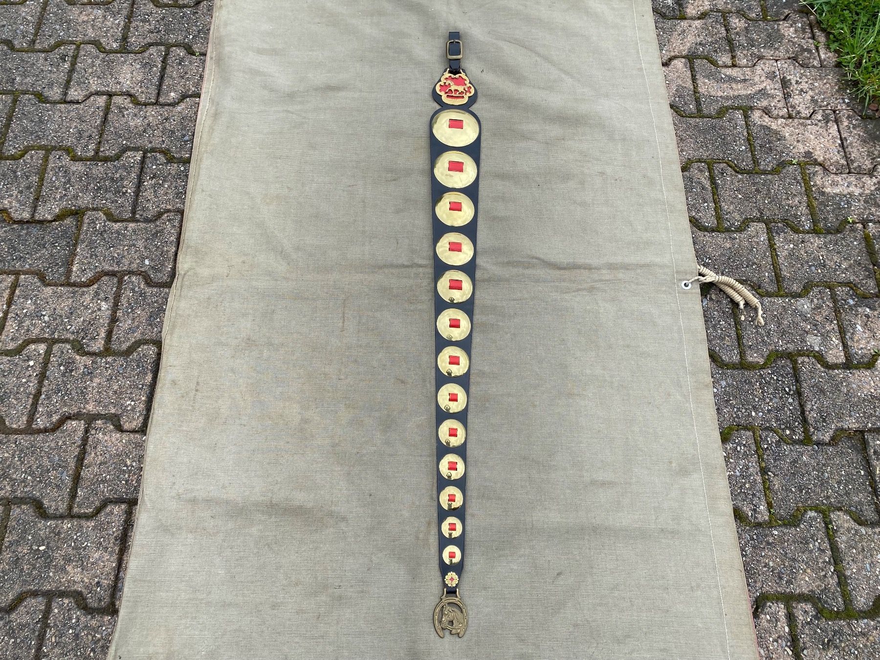 Campanacci mucche: schöner Staatsriemen mit Messing Rosetten – Usato da Feldbach venduto da Fea1