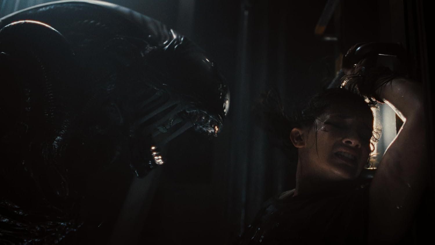 Alle DVDs: Blu-ray - Alien: Romulus - Steelbook - 4K + Blu-ray – Neu und originalverpackt aus Dübendorf von 13geister 4