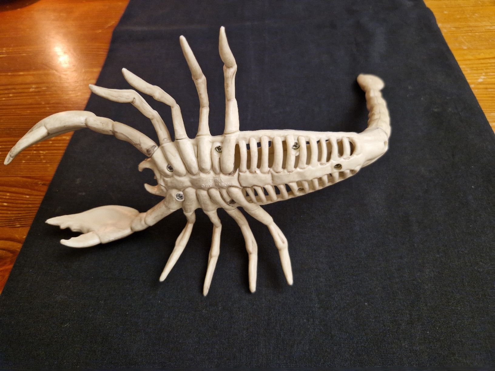 Statuette: Skorpion Skelett – Usato da Fislisbach venduto da mka_km8f 3