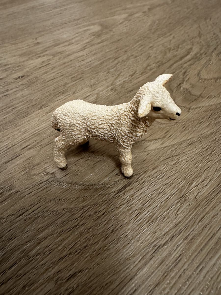 Schleich Figurines: Schleich Lamm  – Neuf (Voir description) à St. Gallen par lea_hq2w