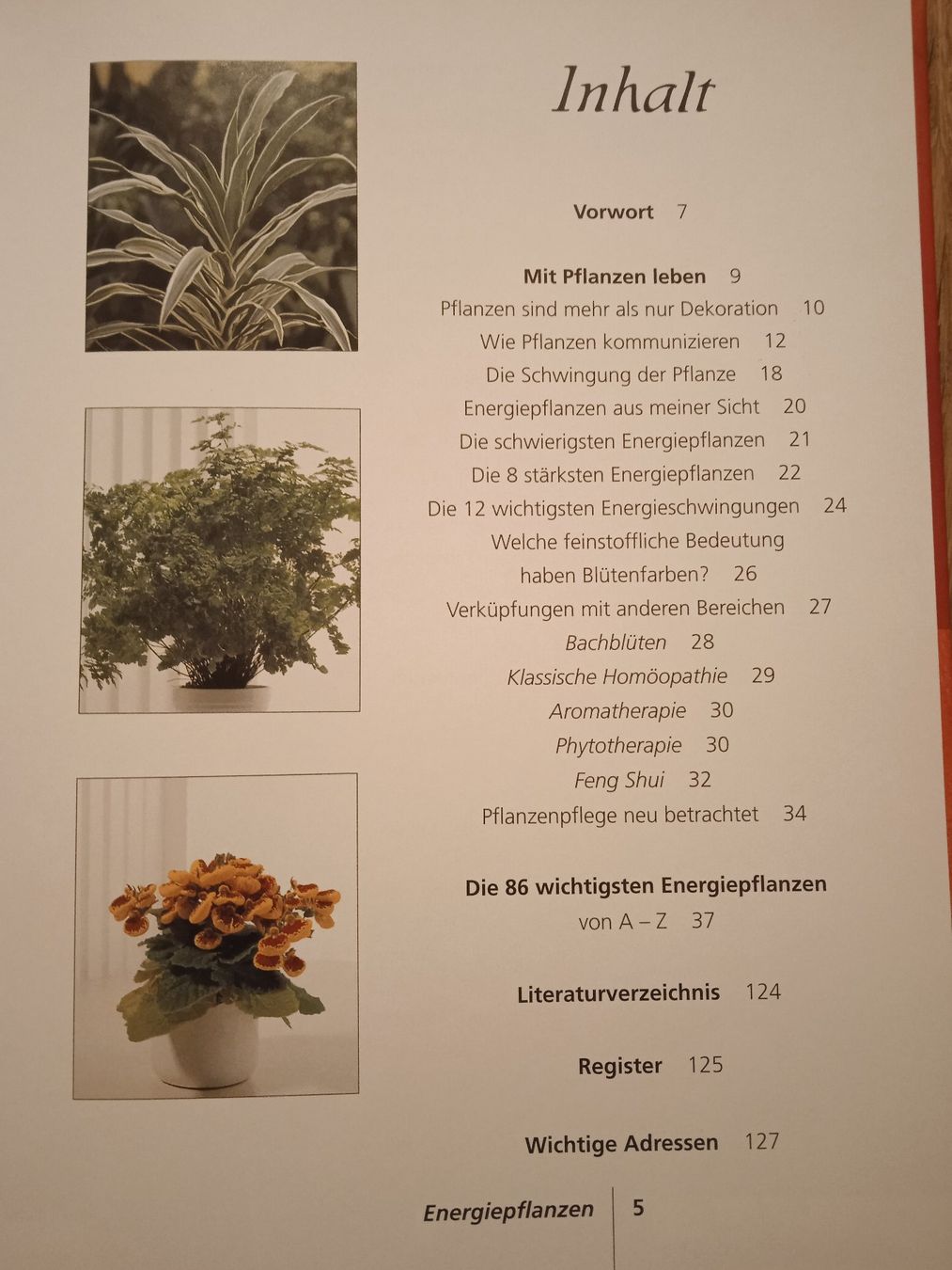 Libri: Energiepflanzen im Haus – Usato da Rothrist venduto da MaSa82 3