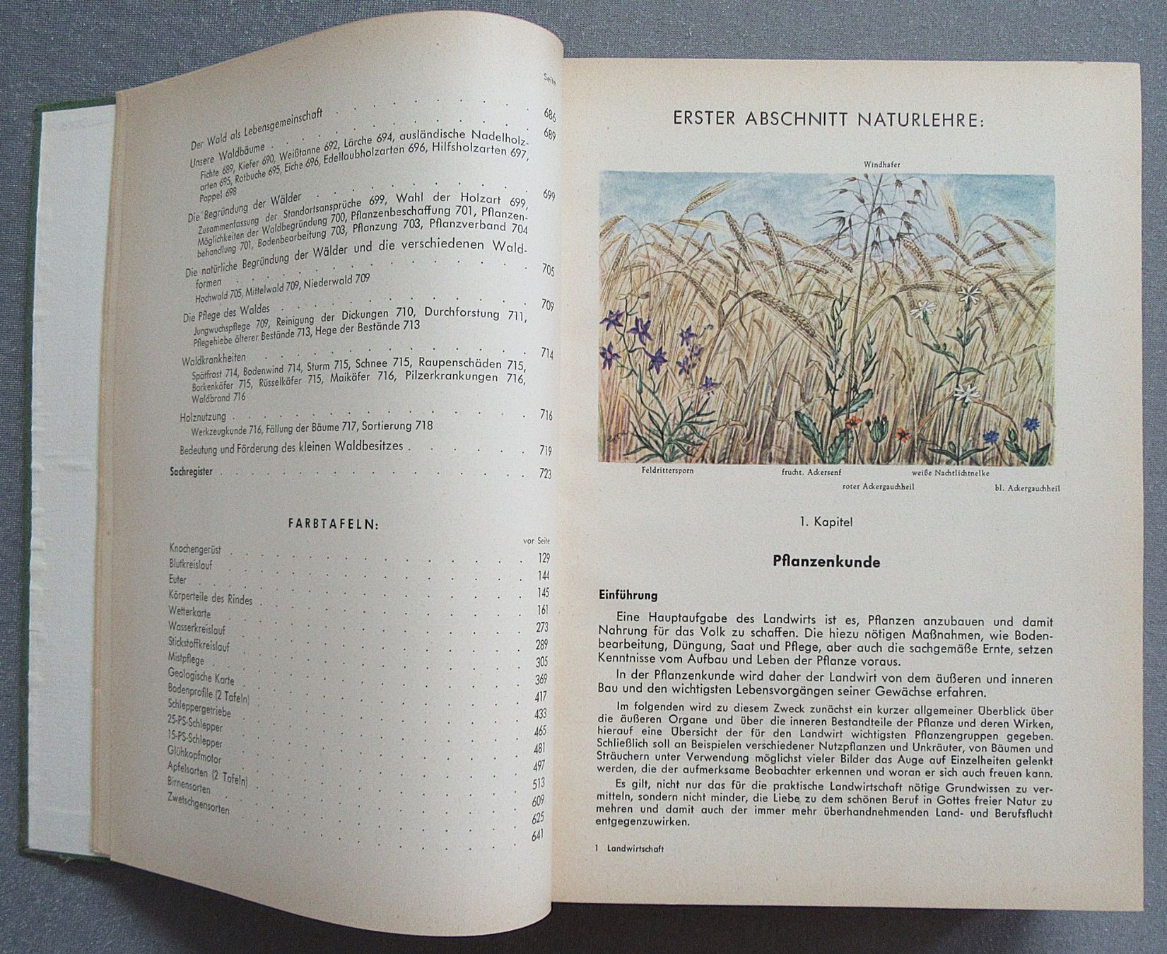 Bücher: Die Landwirtschaft - Band 1 – Gebraucht aus Auenstein von Padabimbim 1