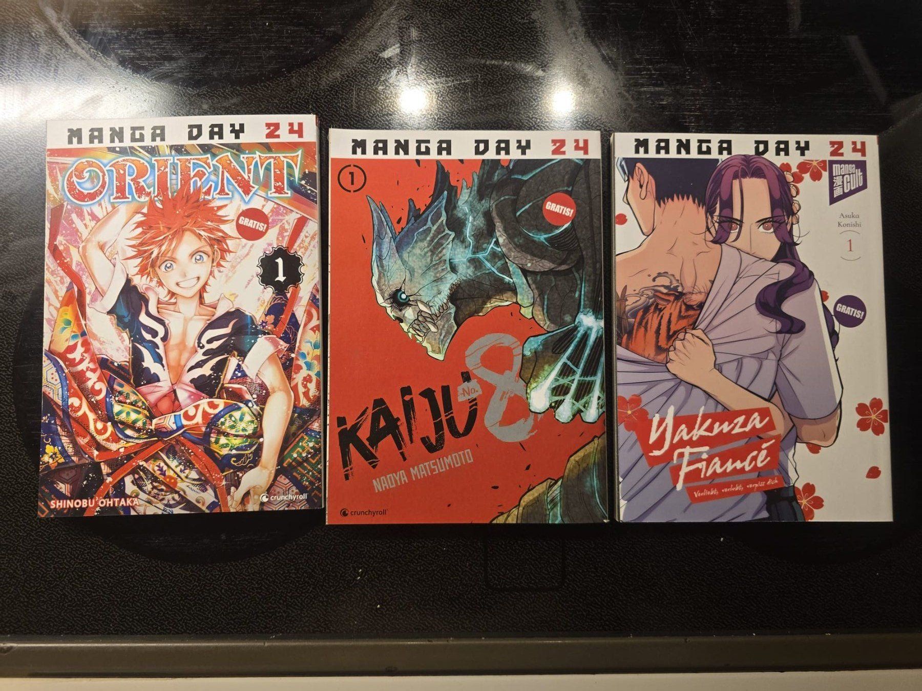 Comics: Manga Day Mangas – Gebraucht aus Schaffhausen von K.Ichimaru 3