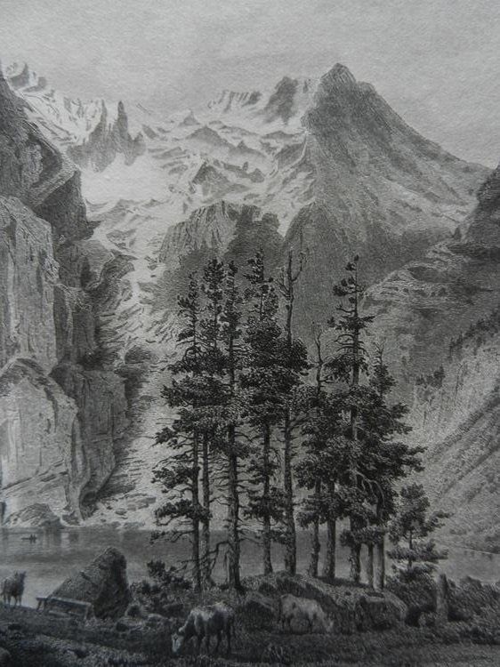 Incisioni: Der Oeschinensee Blüemlisalp – Usato da Risch venduto da Rischli15 5