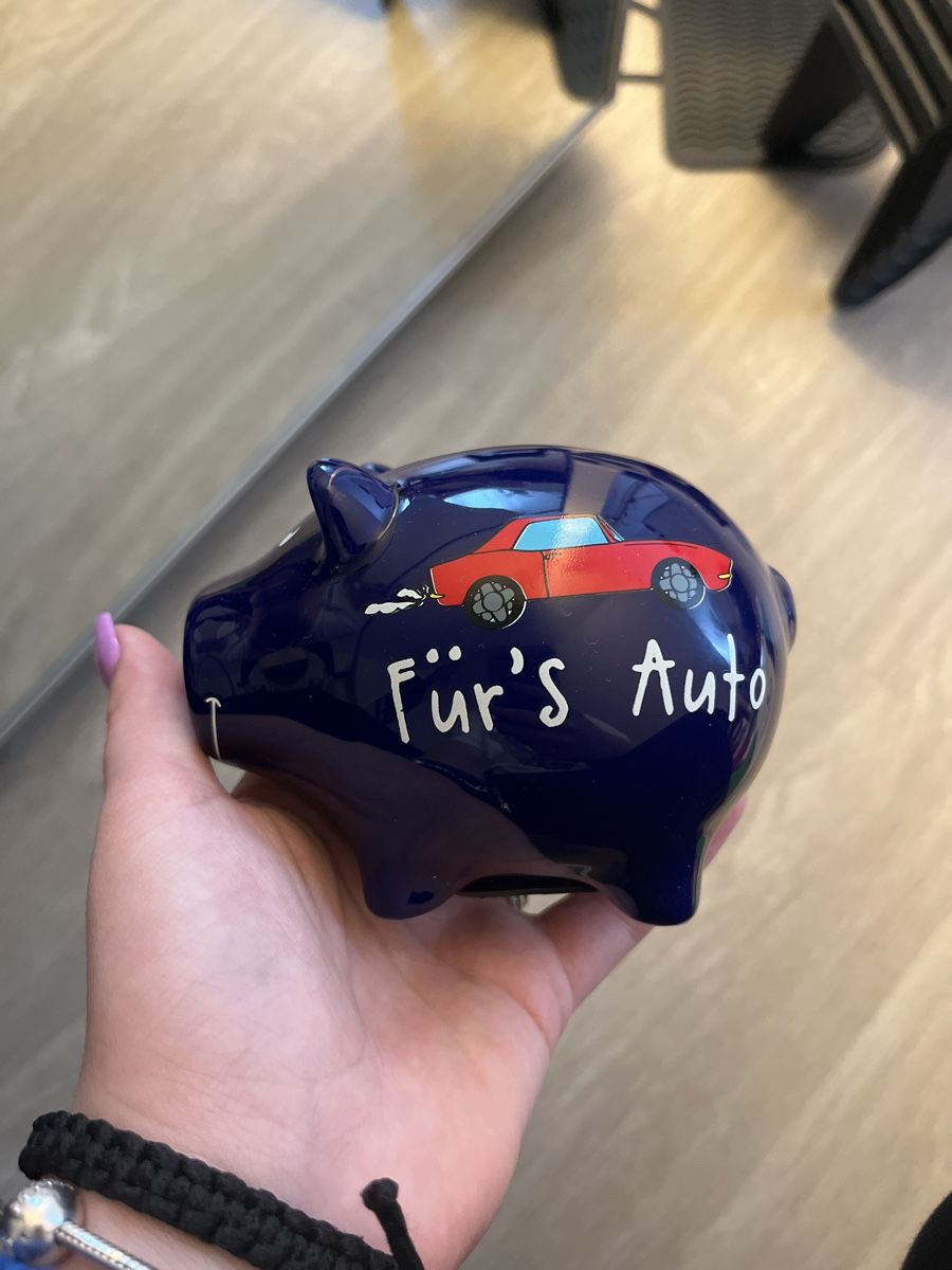 Salvadanai: Sparschwein – Usato da Winterthur venduto da mag_z5tc