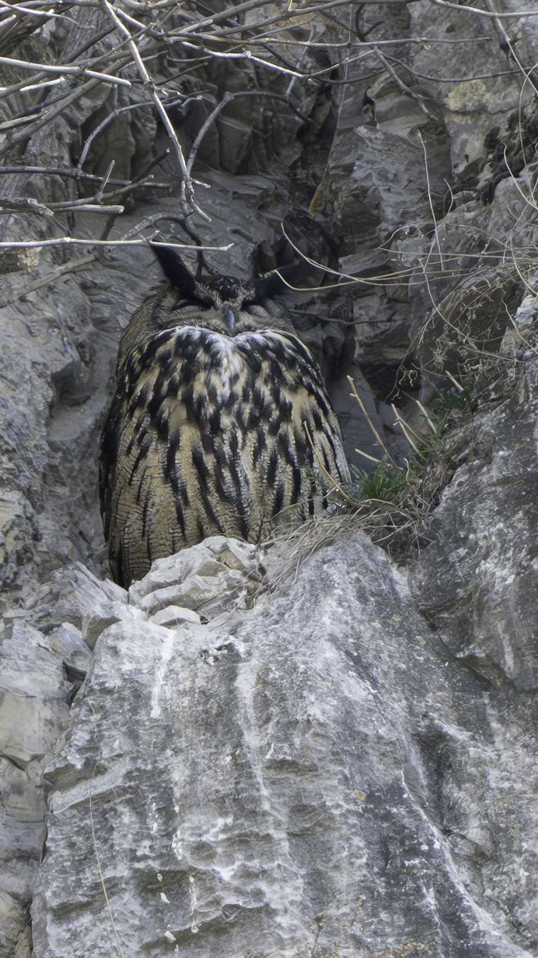 Nikon Obiettivi: Nikkor Z800mm S F6.3 – Usato da Martigny venduto da nicolagreco96 3