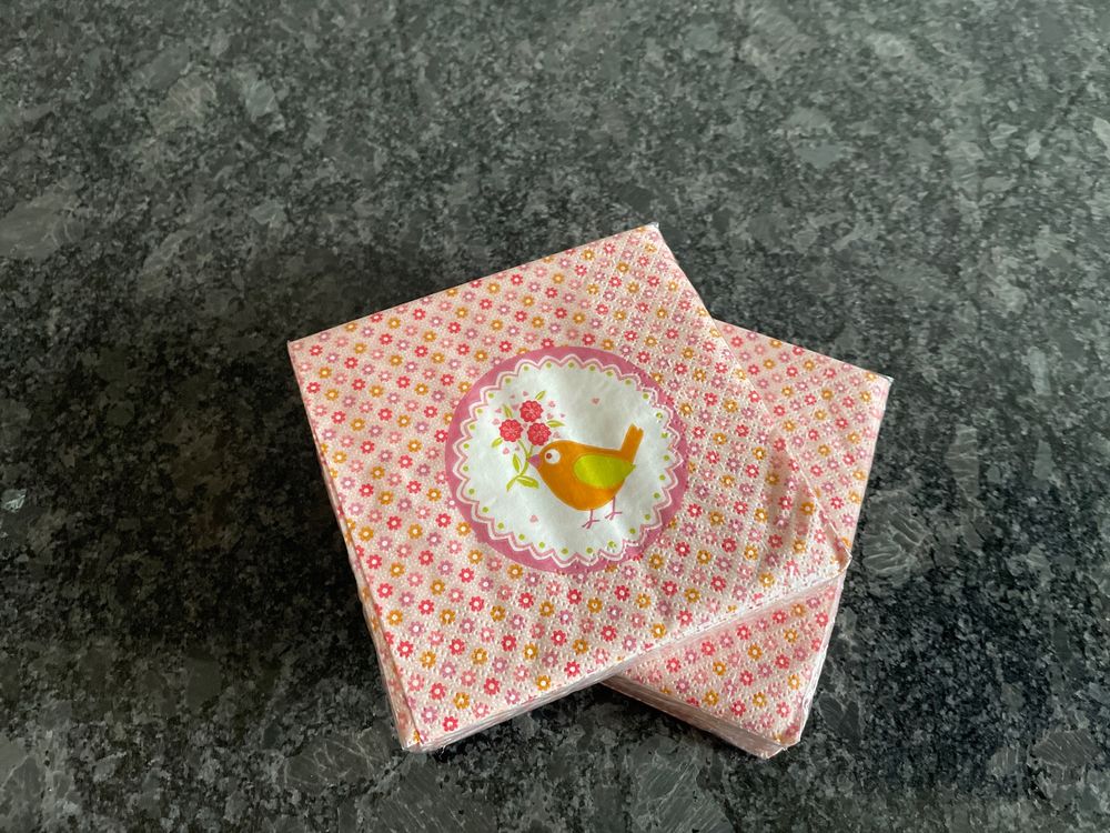 Bio Palmblatt Teller - 50 Stück groß eckig 25x25 cm