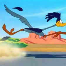 Profile image of Roadrunner42195