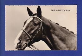 CHEVAL - The Aristocrat