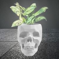 ☠️ Cooler Totenkopf Pflanzengefäß / Teelichthalter 🪴💫